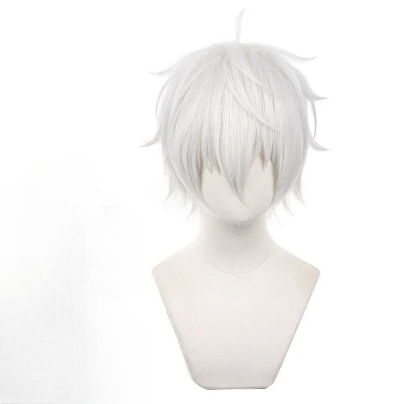 Peruki do cosplayu anime Seish – Cosplay Anime White Hair recenzja i cena
